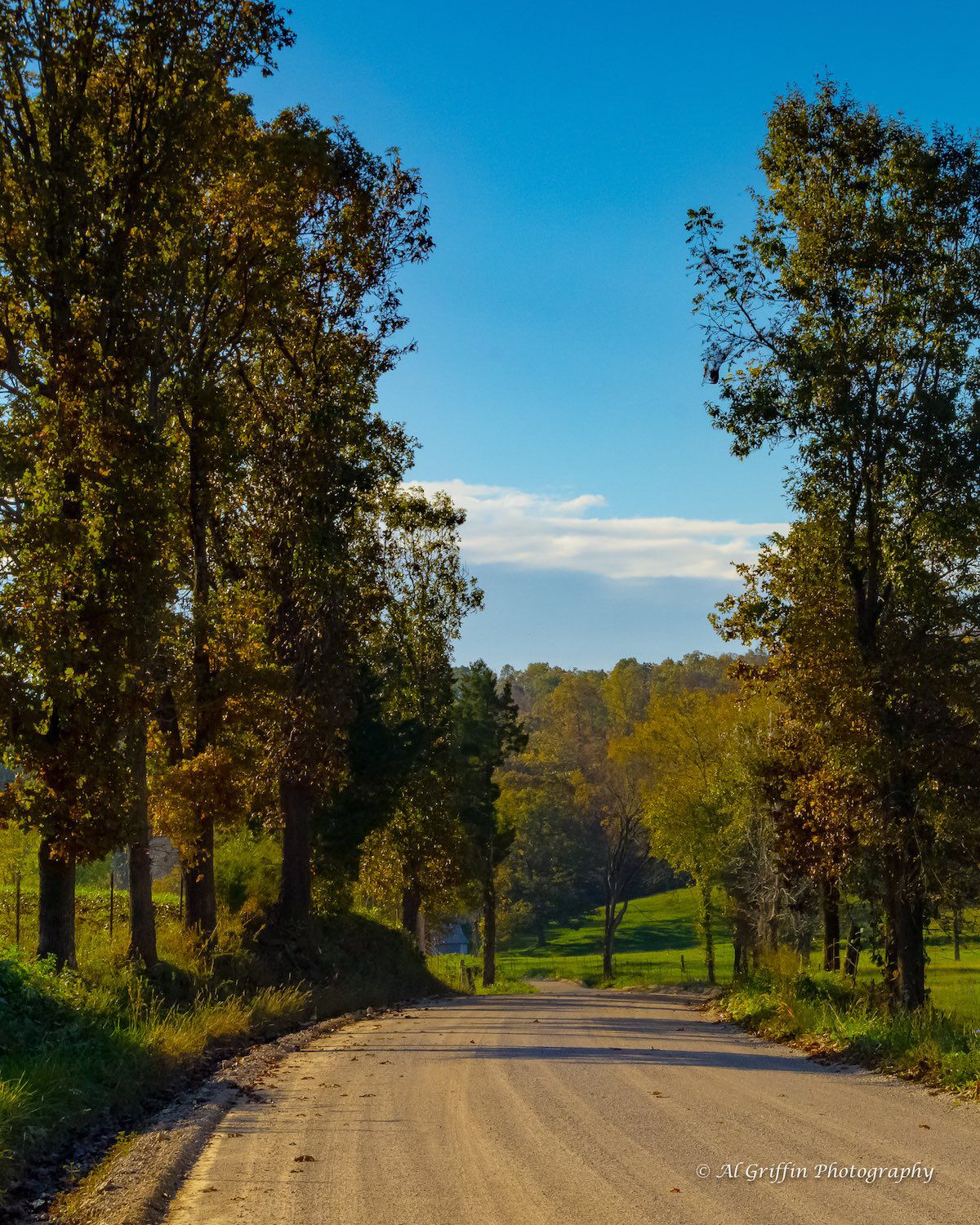 The Road to Shawnee Bluff Winery on the Niangua